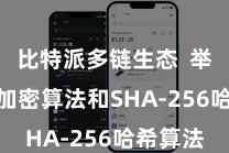 比特派多链生态  举例AES加密算法和SHA-256哈希算法