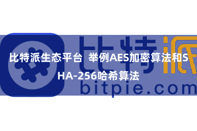 比特派生态平台  举例AES加密算法和SHA-256哈希算法