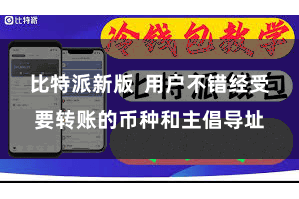 比特派新版  用户不错经受要转账的币种和主倡导址