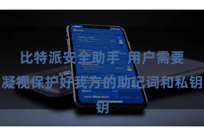 比特派安全助手  用户需要凝视保护好我方的助记词和私钥