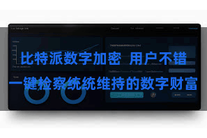 比特派数字加密  用户不错一键检察统统维持的数字财富